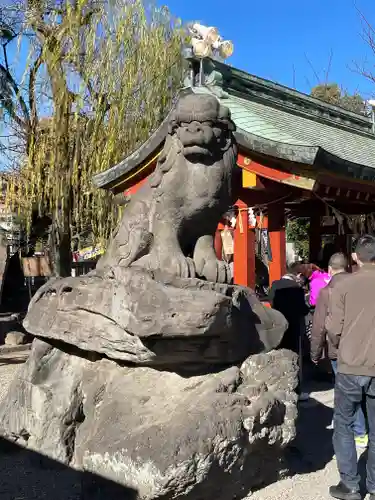 浅草神社の狛犬