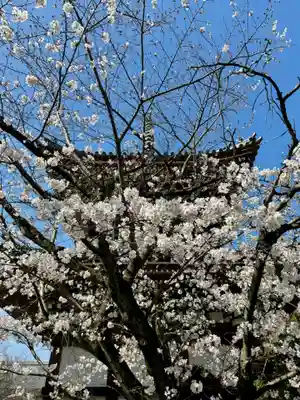 本法寺(京都府)