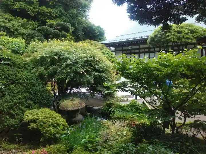 報国寺(神奈川県)