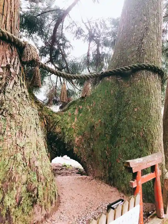 室生龍穴神社の自然