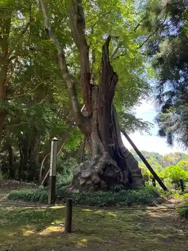 鷲神社(先崎鷲神社)(千葉県)