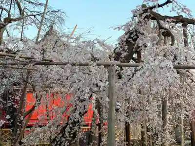 西光院（浄楽寺）(栃木県)