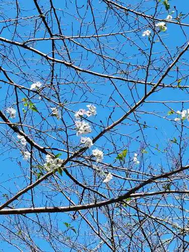 天宮神社(静岡県)