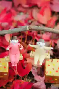 浄土寺(兵庫県)(2024年11月19日(火) 07時00分40秒投稿)