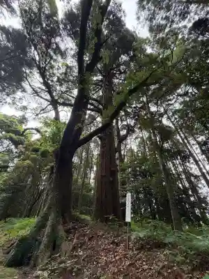 日光神社の{uncategorized: "未分類", other: "その他", undefined: "問題あり", building: "その他建物", grave: "お墓", sacred_gate: "鳥居", guardian: "狛犬", statue: "像", buddha: "仏像", history: "歴史", nature: "自然", garden: "庭園", animal: "動物", pagoda: "塔", temizu: "手水舎", mountain_gate: "山門・神門", sanctuary: "本殿・本堂", subordinate: "末社・摂社", art: "芸術", scenery: "景色", jizo: "地蔵", ema: "絵馬", goshuin: "御朱印", omikuji: "おみくじ", items: "授与品その他", amulet: "お守り", goshuincho: "御朱印帳", eats: "食事", festival: "お祭り", votive_dance: "神楽", shichigosan: "七五三参", wedding: "結婚式", experience: "体験その他", initially: "初詣", around: "周辺", anti_infection: "感染症対策"}
