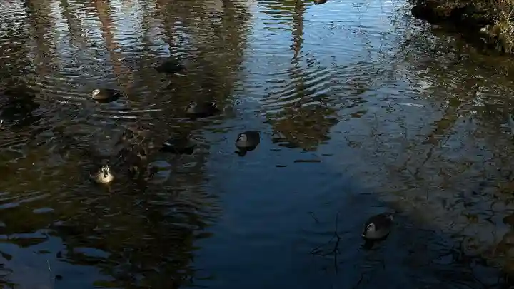 出羽国分寺薬師堂(山形県)