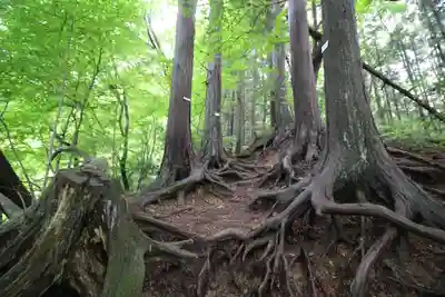 武蔵御嶽神社奥の院(東京都)