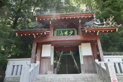 達磨寺(群馬県)
