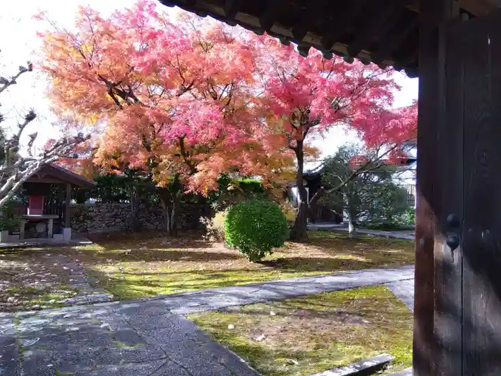 長得院(京都府)