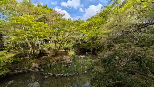 圓光寺(京都府)