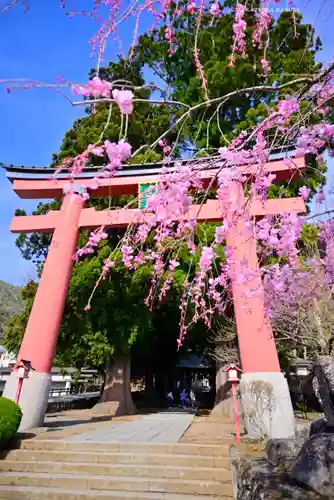 河口浅間神社(山梨県)