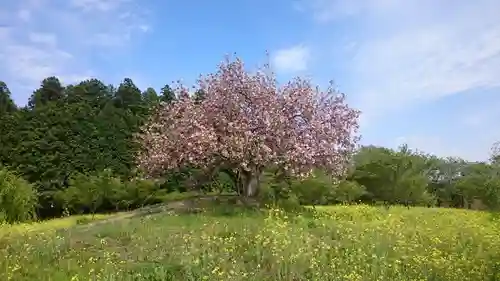 亀岡八幡宮の自然