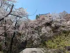 眞田神社の自然