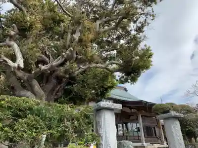 海福寺のその他建物