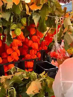 浅草寺(東京都)