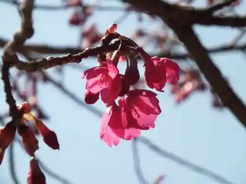 宗泉寺(滋賀県)
