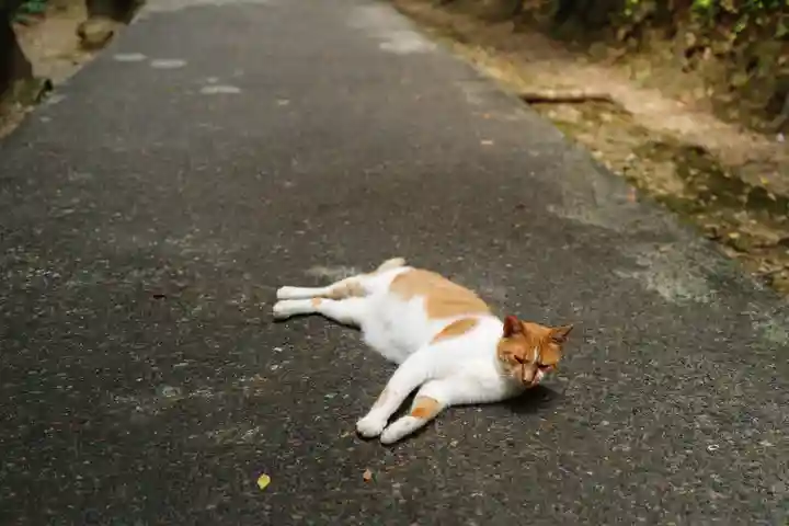 唐澤山神社(栃木県)