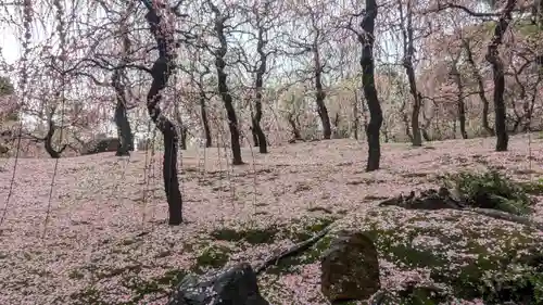 城南宮(京都府)