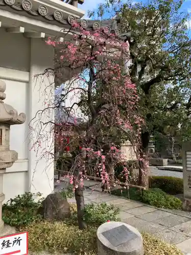 太融寺(大阪府)