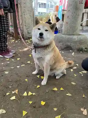 笠䅣稲荷神社(神奈川県)