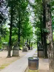 金村別雷神社(茨城県)