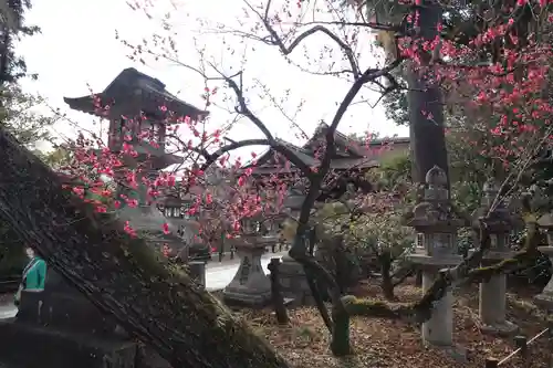 北野天満宮(京都府)