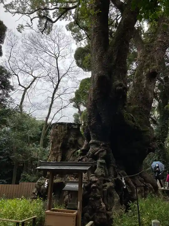 來宮神社(静岡県)
