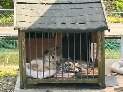 天台宗 五大山 白毫寺(兵庫県)