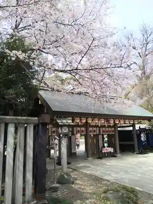 櫻木神社(千葉県)