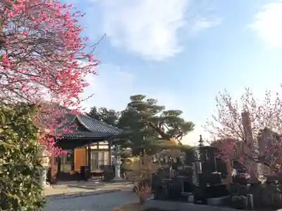 法源寺のその他建物
