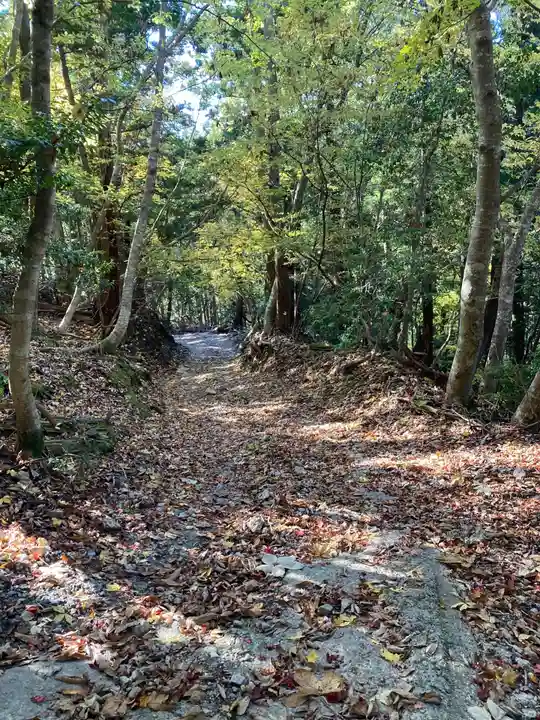 愛宕神社の自然