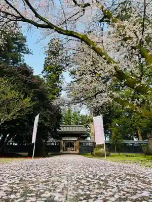 守りの神　藤基神社の山門・神門