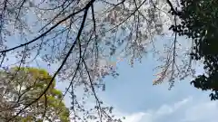 柴崎神社(千葉県)