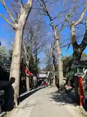 田無神社の自然