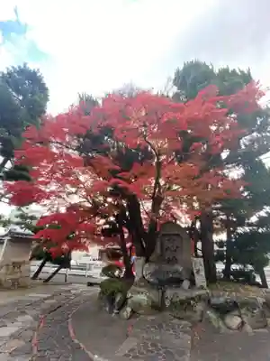 月橋院(京都府)