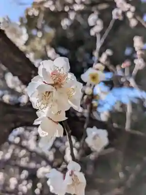 福蔵院(東京都)