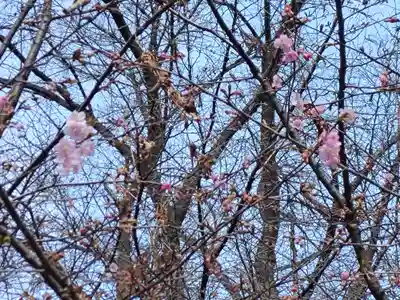 冠稲荷神社(群馬県)