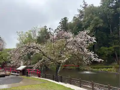 間々田八幡宮(栃木県)