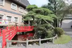 今泉八坂神社の庭園