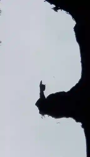 霧島神宮(鹿児島県)