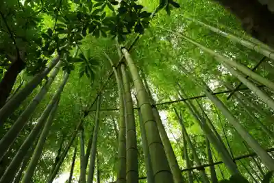 報国寺(神奈川県)