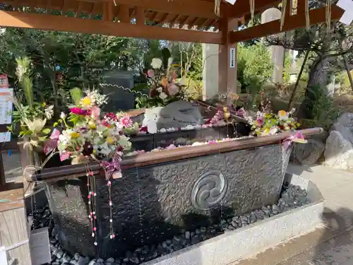 亀ケ池八幡宮の手水舎