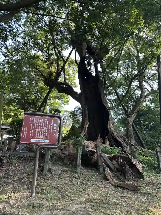 都萬神社(宮崎県)
