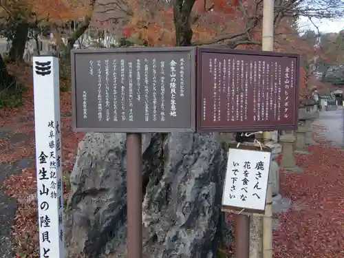 金生山 明星輪寺(岐阜県)