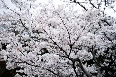 神谷稲荷明神社の自然