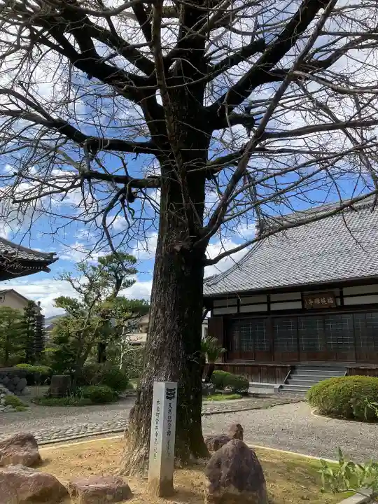 梅英寺(岐阜県)