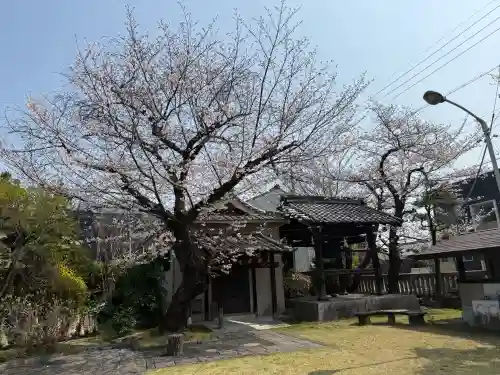 妙行寺の{uncategorized: "未分類", other: "その他", undefined: "問題あり", building: "その他建物", grave: "お墓", sacred_gate: "鳥居", guardian: "狛犬", statue: "像", buddha: "仏像", history: "歴史", nature: "自然", garden: "庭園", animal: "動物", pagoda: "塔", temizu: "手水舎", mountain_gate: "山門・神門", sanctuary: "本殿・本堂", subordinate: "末社・摂社", art: "芸術", scenery: "景色", jizo: "地蔵", ema: "絵馬", goshuin: "御朱印", omikuji: "おみくじ", items: "授与品その他", amulet: "お守り", goshuincho: "御朱印帳", eats: "食事", festival: "お祭り", votive_dance: "神楽", shichigosan: "七五三参", wedding: "結婚式", experience: "体験その他", initially: "初詣", around: "周辺", anti_infection: "感染症対策"}