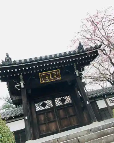 東光寺の山門