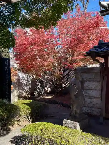 金剛寺(東京都)