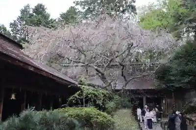 吉野水分神社（吉野町）(奈良県)